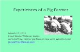 Experience of a Pig Farmer - US EPA · 2010. 3. 17. · March 17, 2010 Food Waste Webinar Series. John Caffrey, former pig farmer now with Wilenta Feed ... • Then cooled and fed