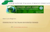 Gian Luca Bagnara · TREND OF THE ITALIAN PRODUCTION 0 100,000 200,000 300,000 400,000 500,000 600,000 700,000 800,000 900,000 1,000,000 Ton Ton Fonte: Stime AIFE Media G.L.Bagnara