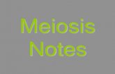 Meiosis Notes - Holland CSDNote Taking Key • Text in black will be copied into your flipbook • Vocabulary words will be like this Meiosis Highlight them as well in your flipbook,