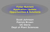 Foliar Nutrient Application Update: Opportunities & Solutions … · 2016. 9. 2. · Opportunities & Solutions Scott Johnson Patrick Brown UC Davis Dept of Plant Sciences. Foliar