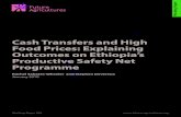 Cash Transfers and High Food Prices: Explaining Outcomes on … · 2016. 8. 2. · Working Paper 004 2 A n ongoing and highly politicised debate concerns the relative efficacy of