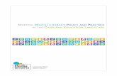 MAPPING DIGITAL LITERACY POLICY AND PRACTICE IN THE ... · of digital literacy policies and pedagogies into a complex topography. The impetus towards integrating contemporary communications