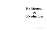 Evidences Evolution - Appleton church of Christ · Evidences & Evolution -- Page 3. There is scientiÞc evidence for the earth being relatively young. 4. The geological and fossil