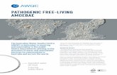 PATHOGENIC FREE-LIVING AMOEBAE · 2018. 5. 4. · Free-living amoebae are extremely diverse and play an important part in natural biological processes including decomposition. In