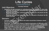 Life Cycles KINDERGARTEN Exemplar...“life cycle,” and discussed each stage of the butterfly’s life cycle. After ensuring all students had a firm understanding of a butterfly’s