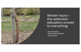 Winter injury – the extension educators answer to everything...•Extreme low temperature •Low temperatures following warm temperatures •Fall, early hard cold before plants are