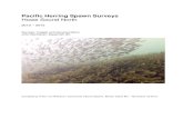 Pacific Herring Spawn Surveys Howe Sound North€¦ · -Take photos and videos. Equipment used Boats 2010 - 16 foot canoe 2011 – 2013 - 12 foot aluminum boat powered by a 5hp mercury