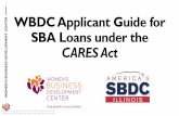 Small Business Access to Capital Webinar for SBA Loans ...€¦ · 4/2/2020  · Small Businesses The other large loan program consists of $377 billion in loans and grants to small