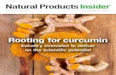 Rooting for curcumin - chenland.com · The publisher reserves the right to accept or reject any advertising or editorial material. Advertisers, and/or their agents, assume the responsibility