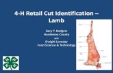 4-H Retail Cut Identification – Lamb · Lamb Leg • American Style Roast • Center Slice • Frenched Style Roast • Leg Roast, Bnls • Sirloin Chop • Sirloin Half. ... •