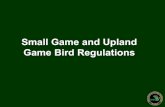 Game Bird Regulations - Michigan...Historic Quotas and Demand • 2019 – ~37,000 . 300 . applicants . 250 200 – +5,100 . 150 . applicants for . 100 . chance only . 50 . 0 2005