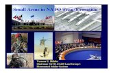 Session IV Small Arms in NATO Transformation MILITARY TRANSFORMATION NATO Response Force (NRF) Previous