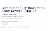 Dimensionality Reduction From Several Anglesfodava.gatech.edu/files/uploaded/DLS/munzner-talk.pdfDimensionality Reduction From Several Angles Tamara Munzner Department of Computer