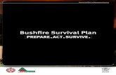 QFES Bushfire Survival Plan - SouthBurnett.Biz · Your main priority is to ensure that you and your family are safe. During a bushfire, you and your family’s survival and safety