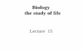 Biology the study of lifefaculty.umb.edu/yvonne_vaillancourt/VUB/lecture 15 intro to biology.pdfThe cell is the fundamental unit of life. 3. All cells come from preexisting cells.