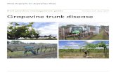 Grapevine trunk disease - LIMESTONE COAST - WINE · 2020. 5. 19. · more prevalent in Australia, threatening the wine sector which contributes $40 billion to the Australian economy.