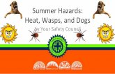 Summer Hazards: Heat, Wasps, and Dogs€¦ · DOGS Dog-related incidents are very common, most happen after owners claim their pets do not bite. If a dog is onsite and not restrained,
