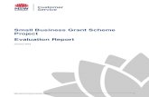 Small Business Grant Scheme Project Evaluation Report...SBG Scheme Project Evaluation Report 7 Executive summary Small Business Grant Scheme Project The Small Business Grants (Employment