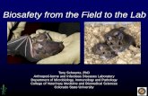 Biosafety from the Field to the Lab...Biosafety from the Field to the Lab Tony Schountz, PhD . Arthropod-borne and Infectious Diseases Laboratory . Department of Microbiology, Immunology