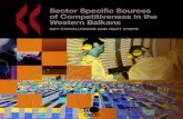 Sector Specific Sources of Competitiveness in the Western Balkans - OECD · key sectors: apparel manufacturing, automotive components and business process and information technology