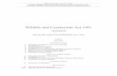 Wildlife and Countryside Act 1981 - legislation.gov.uk€¦ · Wildlife and Countryside Act 1981 (c. 69) Document Generated: 2020-06-04 iii Status: Point in time view as at 01/10/2004.