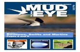 East Lothian Council Countryside Rangers€¦ · Countryside Rangers Mud In Your Eye - May '20 Editorial – Covid 19 lockdown It’s not often that we resort to newspaper style editorials