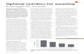 NUTRITION Optimal nutrition for weaning · of management throughout the farrowing and post weaning period (Van Heugten, 2007). Many pork producers set wean-ing weights of 8kg per