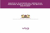 This work is dedicated to children with disabilities in ... · Hellen Obande (United Disabled Persons of Kenya), Mourine Wambugu (National Council for Persons with Disabilities),