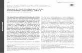 Human b-Cell Proliferation and Intracellular Signaling: Part 3Andrew F. Stewart,1 Mehboob A. Hussain,2 Adolfo García-Ocaña,1 Rupangi C. Vasavada,1 Anil Bhushan,3 Ernesto Bernal-Mizrachi,4