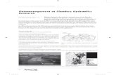 Data management at F Research · 10 - 100 100 - 1000 1000 - 10000 10000 - 100000 No Data Figure 2: Schématisation principle of a numerical model and flood risk assessment along the