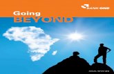 Going BEYOND · economic review board of directors corporate governance report executive management chairman’s report company secretary’s certificate risk management report financial