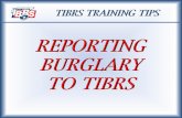 TIBRS DEFINITION OF BURGLARY: The unlawful entry into a … · 2017. 10. 31. · TIBRS DEFINITION OF BURGLARY: The unlawful entry into a building or other structure with the intent