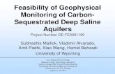 Feasibility of Geophysical Monitoring of Carbon ......Feasibility of Geophysical Monitoring of Carbon-Sequestrated Deep Saline Aquifers Project Number DE-FE0001160 Subhashis Mallick,