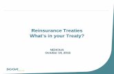 Reinsurance Treaties What’s in your Treaty?€¦ · 14/10/2015  · Yearly Renewable Term (YRT) The risk, but not the plan reserves are transferred to the reinsurer. The reinsurer