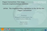 Hague Convention: first steps towards implementation ...€¦ · What is UIFSA? •Uniform Interstate Family Support Act –Child support –Spousal support –ov’t and private