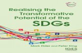 €¦ · Realising the Transformative Potential of the SDGs Table of Contents Foreword