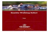 Zambia Walking Safari€¦ · Zambia Walking Safari Discover Africa's best-kept secret — Zambia's Luangwa Valley, a paradise showcasing an incredible concentration of wildlife.