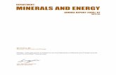 DEPARTMENT: MINERALS AND ENERGY - gov · MINERALS AND ENERGY 6 PUBLIC ENTITIES REPORTING TO THE MINISTER OF MINERALS AND ENERGY • The Mine Health and Safety Council, established