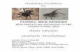 FUNNEL WEB SPIDERS · 3 OCCUPATIONAL HEALTH AND SAFETY RISKS Risk category: HIGH RISK = DANGEROUS The Sydney Funnel Web spider Atrax robustus is considered to be one of the most venomous