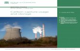 Carbon capture usage and storage · 2020. 3. 11. · Summary . Carbon capture usage and storage (CCUS) refers to a set of processes that capture carbon dioxide (CO 2) from waste gases