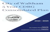 5 Year CDBG Consolidated Plan - city.waltham.ma.us...Consolidated Plan WALTHAM 3 OMB Control No: 2506-0117 (exp. 06/30/2018) Executive Summary ES-05 Executive Summary – 24 CFR 91.200(c),