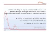 CFD modelling of liquid pressurized water and phase change through leaks in micro … · 2012. 3. 13. · 64th IUVSTA Workshop CFD modelling of liquid pressurized water and phase
