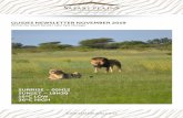 GUIDES NEWSLETTER NOVEMBER 2019 - Safari Plains · Zebras have very good eyesight and they can see colour. As their eyes are on the side of their head, zebras have a very wide field