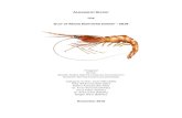 GULF OF MAINE NORTHERN SHRIMP 2018asmfc.org/uploads/file/5c000eb2NShrimpAssessmentUpdate...Northern shrimp play an integral role in the food web dynamics within the Gulf of Maine both