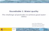 Roundtable 1: Water quality · 2019. 6. 18. · 17 –20 June 2019 The Jucar River Basin Surface (km2) 42.735 Permanent population (2012) 5.178.000 Total equivalent population (2012)