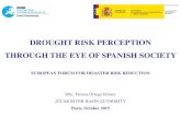 DROUGHT RISK PERCEPTION THROUGH THE EYE OF SPANISH … · Júcar Drought Plan. 2007. 13. The Law for the National Hydrological Plan establish the basis for the planned drought management.