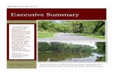 Executive Summary - warrencountyva.net · Executive Summary K. All future private access easements serving three or more residential dwelling units should be designed with a slope