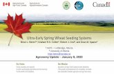 Ultra-Early Spring Wheat Seeding SystemsUltra-Early Spring Wheat Seeding Systems Brian L. Beres1,2,Graham R.S. Collier2, Robert J. Graf1, and Dean M. Spaner2 1 AAFC –Lethbridge,