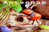 Antennae Issue 7 - John Isaacs · ANTENNAE ISSUE 7 animal, and without its being a direct representation of either. It is an attempt to think a new exclusive interview, Singer discusses