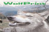 The magazine of The UK Wolf Conservation Trust, published ... Published by: The UK Wolf Conservation
